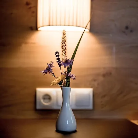 Lejlighedshotel Barbara & Schladming