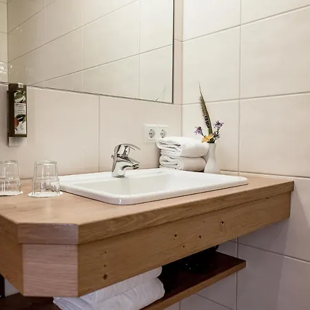 Апарт-готель Barbara & Шладмінг