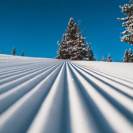 Апарт-готель Barbara & 4*