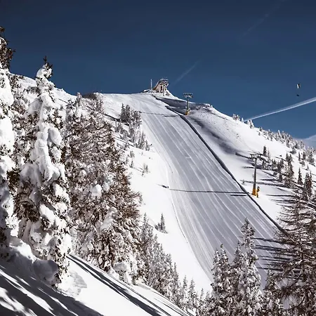 Апарт-готель Barbara & Шладмінг