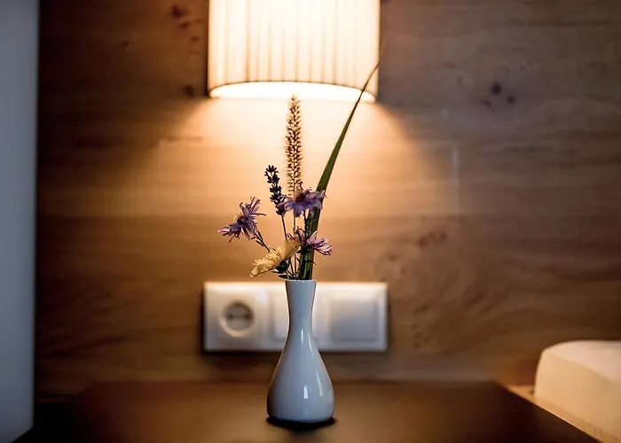 Апарт-отель Barbara & Шладминг