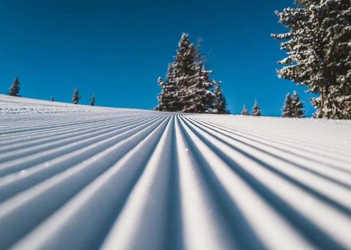 Апарт-отель Barbara & 4*